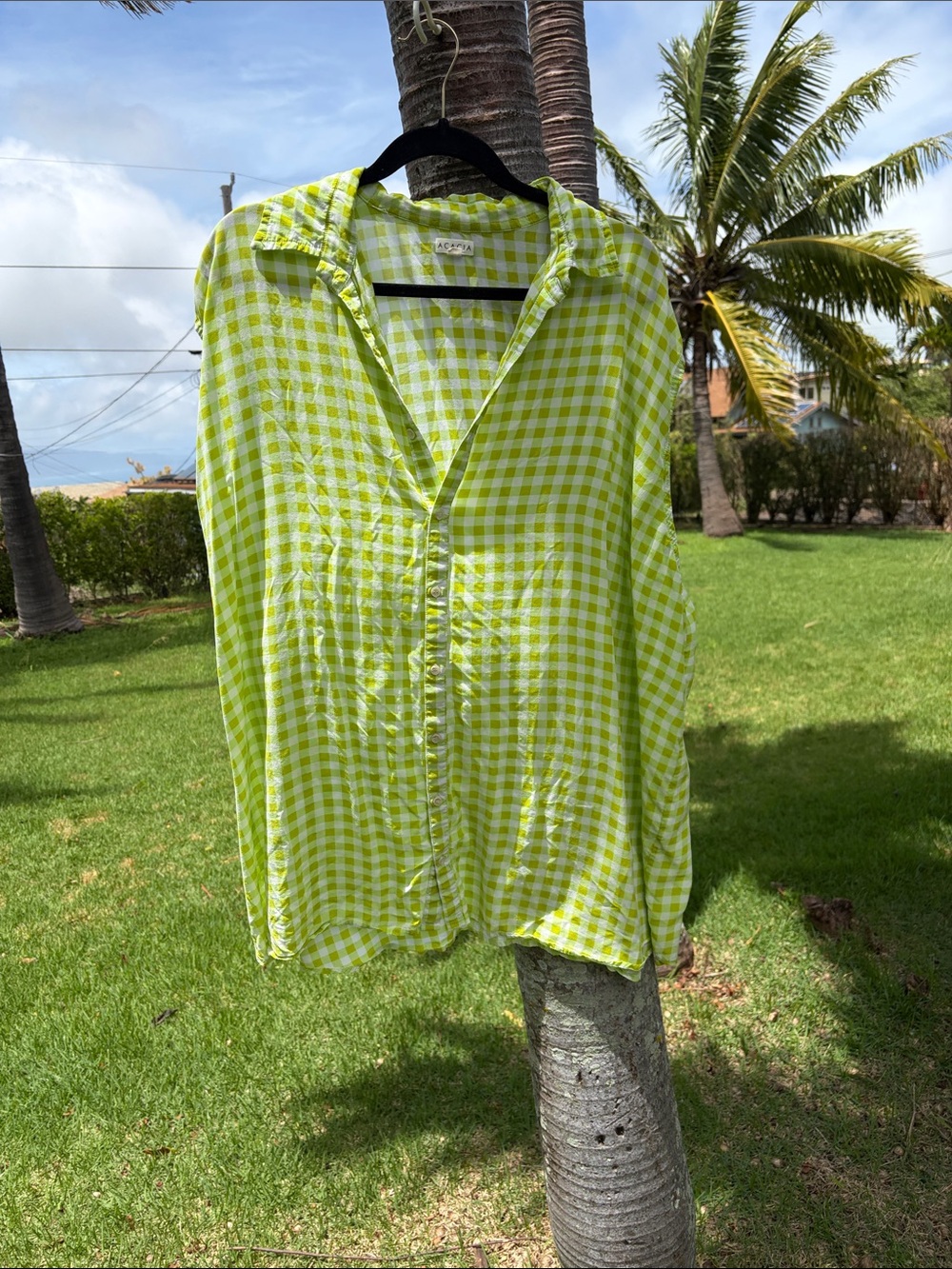 acacia swimwear Lime Gingham Button-Down Shirt